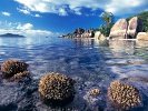 Острова на атоллах и острова-микроконтиненты