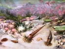Происхождение и развитие океанической биоты